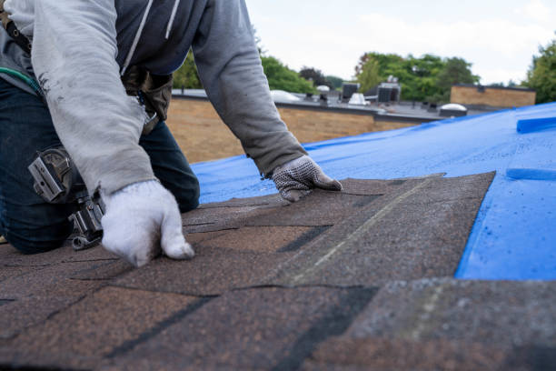 Quick and Trustworthy Emergency Roof Repair Services in Cheviot, OH